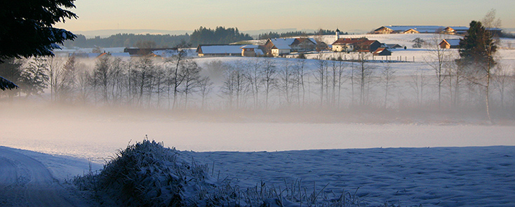 Kohlhunden im Winter_Kuhstallweiher_Römerturm_Villa Rustica